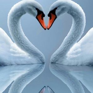 Meet your Posher, Genelle